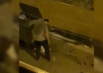Trabzon’da vahşet… Yavru kedileri ayağıyla ezip öldürdü!