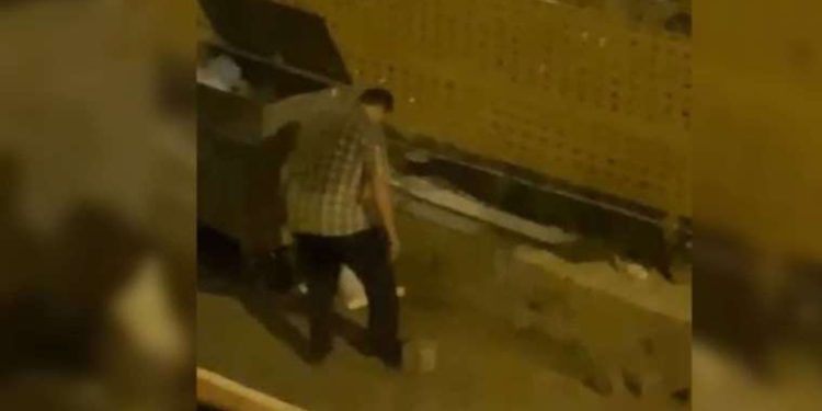 Trabzon’da vahşet… Yavru kedileri ayağıyla ezip öldürdü!