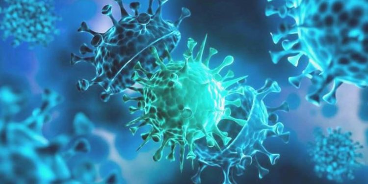 Tüm Covid varyantlarına karşı tesirli bir antikor keşfedildi