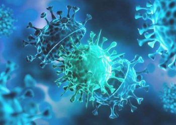 Tüm Covid varyantlarına karşı tesirli bir antikor keşfedildi