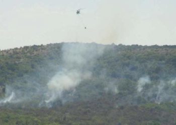 Türkiye-Bulgaristan hududunda orman yangını!