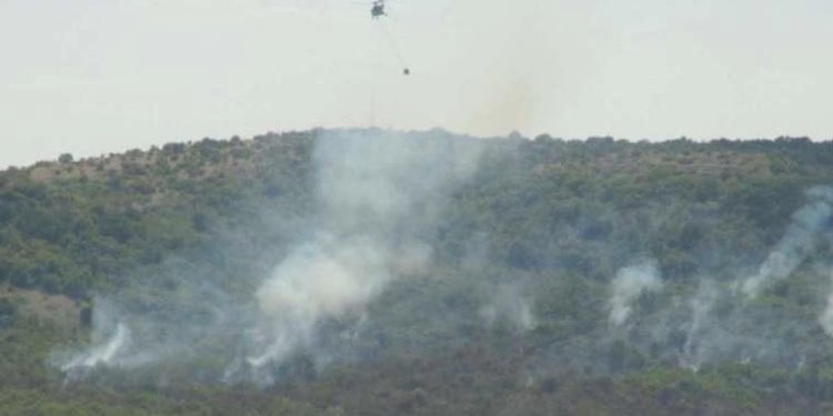 Türkiye-Bulgaristan hududunda orman yangını!