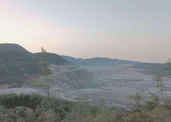 Türkiye Ormancılar Derneği Lideri: Akbelen’de 65 bin ağacın kesildiği anlaşılıyor