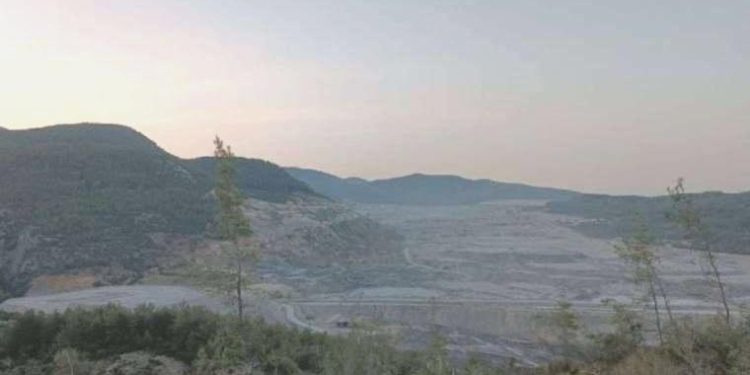 Türkiye Ormancılar Derneği Lideri: Akbelen’de 65 bin ağacın kesildiği anlaşılıyor