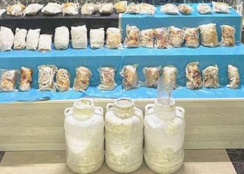 Uyuşturucuyu peynir bidonlarına saklamışlar! Bitlis’te 9 kilo esrar ele geçirildi