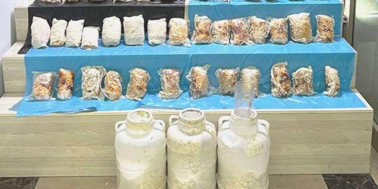 Uyuşturucuyu peynir bidonlarına saklamışlar! Bitlis’te 9 kilo esrar ele geçirildi