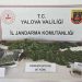Yalova’da kenevir yetiştirilen villaya operasyon: 1 tutuklama