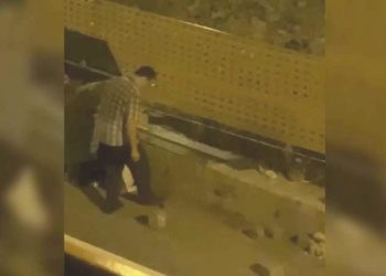 Yavru kedileri ayağıyla ezip öldürmüştü… Mahkeme çıkışı tekrar kedi çalmaya kalkıştı!