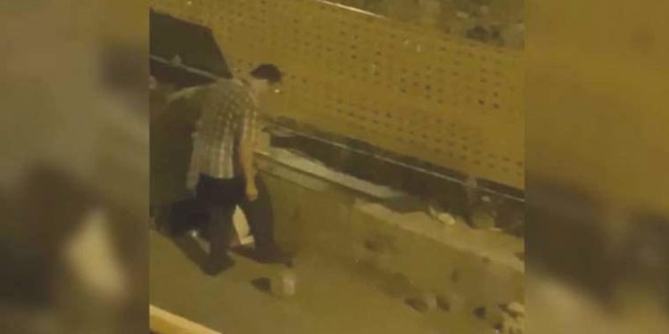 Yavru kedileri ayağıyla ezip öldürmüştü… Mahkeme çıkışı tekrar kedi çalmaya kalkıştı!