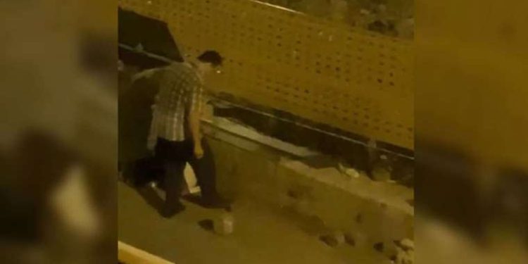 Yavru kedileri ayağıyla ezip öldürmüştü… Mahkeme çıkışı tekrar kedi çalmaya kalkıştı!