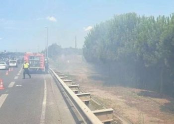 15 Temmuz Köprüsü yolunda ağaçlık alanda yangın