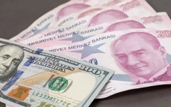 Ekonomistlerden enflasyon ve dolar tahmini