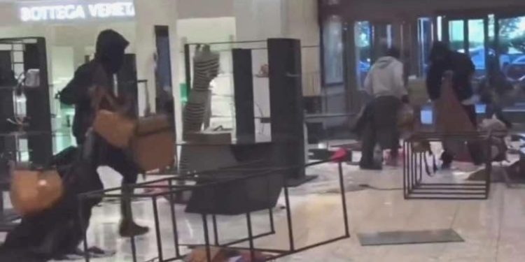 ABD’de bir küme yağmacı, ayı kovucu spreyle alışveriş merkezini yağmaladı