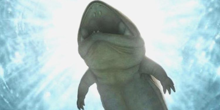 Avustralya’da yeni bir amfibi çeşidi keşfedildi