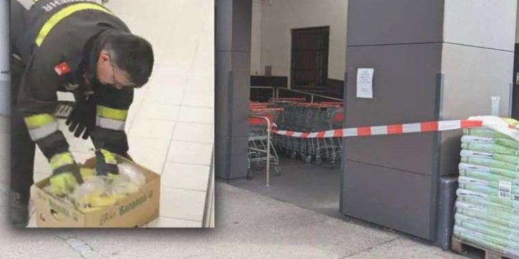 Avusturya’da örümcek alarmı: Isırığı ‘kalıcı ereksiyona’ neden oluyor!