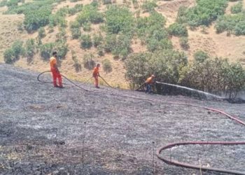 Bingöl’de orman yangını