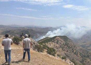 Bingöl’de orman yangını