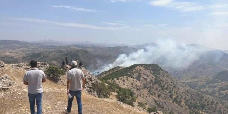 Bingöl’de orman yangını