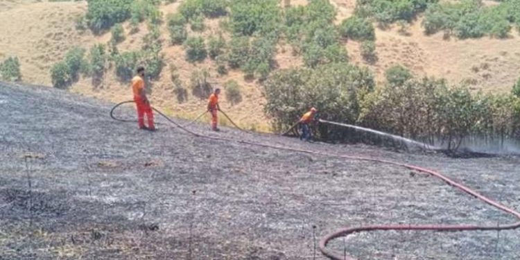 Bingöl’de orman yangını