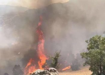 Bingöl’deki orman yangınında ikinci gün!