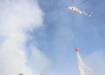 Bolu’da köyde çıkan yangın 3 saatlik çalışma sonrası denetim altına alındı