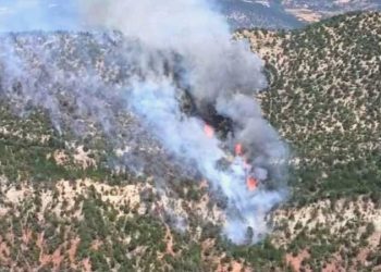 Bolu’da orman yangını… Takımlar müdahale ediyor