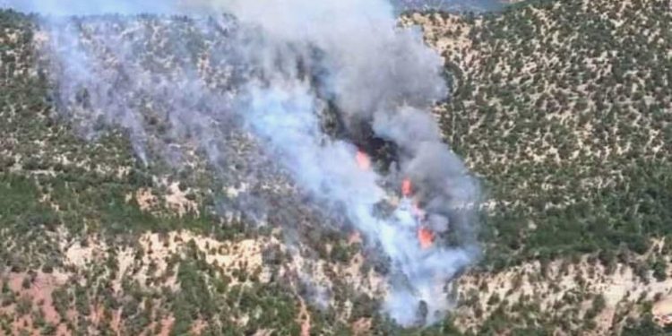 Bolu’da orman yangını… Takımlar müdahale ediyor