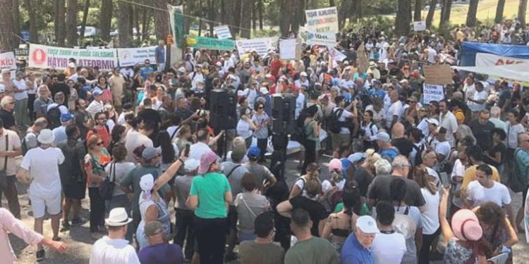 Çaba sürüyor: Akbelen için cürüm duyurusunda bulundular!