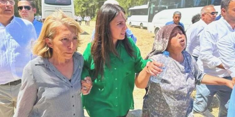 CHP’li Özcan: Akbelen kıyımı bölgeyi susuz bırakacak!