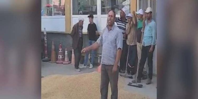 Çiftçi buğdayını AKP binası önüne döktü: ‘Yetkililer yalnızca koltuğunu düşünüyor’