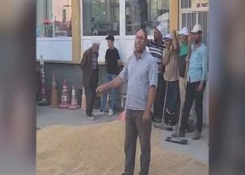 Çiftçi buğdayını AKP binası önüne döktü: ‘Yetkililer yalnızca koltuğunu düşünüyor’