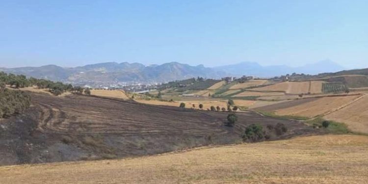 Dikmece halkının toprağına göz koyan Sarıdağlar, AKP’li belediyeye inşaat yapacak: O şirkete bir ihale daha!