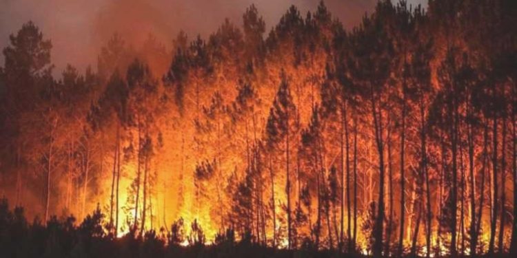 Fransa’da çıkan yangında 700 stadyumdan fazla alan küle döndü