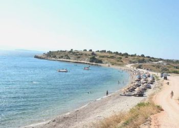 Gücücek Koyu’na Çeşme Belediyesi talip oldu!