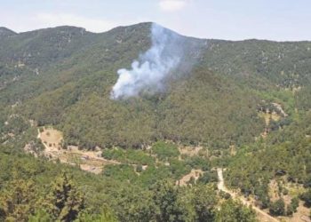 Hatay İskenderun’da çıkan orman yangını denetim altına alındı