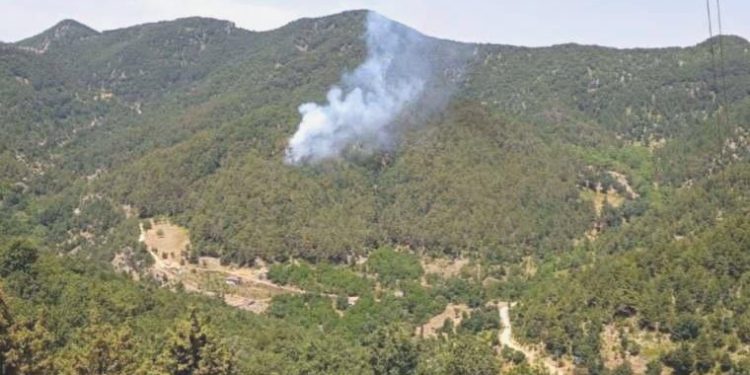 Hatay İskenderun’da orman yangını!