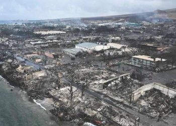 Hawaii orman yangınlarına ne sebep oldu?