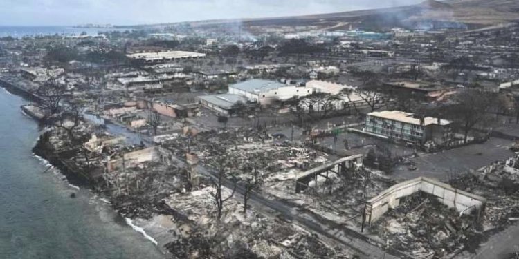 Hawaii orman yangınlarına ne sebep oldu?