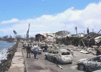 Hawaii’de devam eden orman yangınlarında ölenlerin sayısı 93’e çıktı