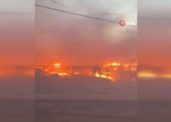 Hawaii’de orman yangını: 6 meyyit