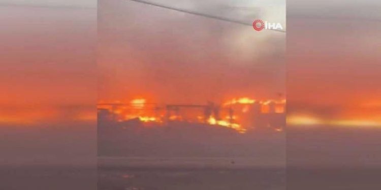 Hawaii’de orman yangını: 6 meyyit