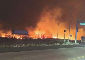 Hawaii’deki yangında 36 kişi öldü: Kurtulanlar okyanustan toplandı