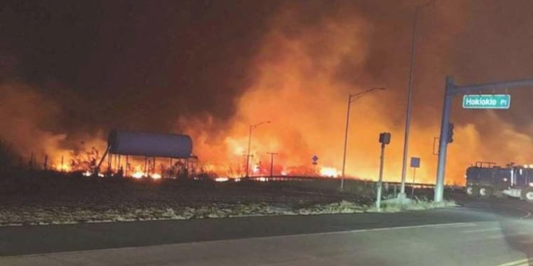 Hawaii’deki yangında 36 kişi öldü: Kurtulanlar okyanustan toplandı