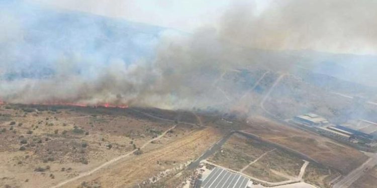 İzmir’de makilik alanda yangın: Havadan ve karadan müdahale ediliyor!