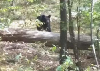 Katilinin fotoğrafını çektiğinden habersiz gencin hüzünlü sonu