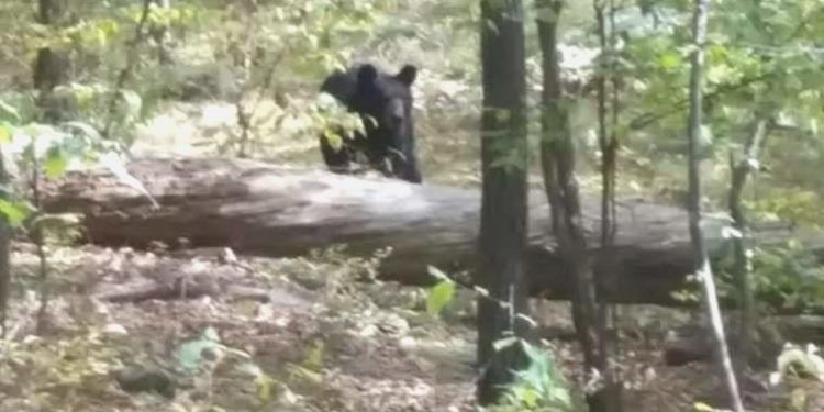 Katilinin fotoğrafını çektiğinden habersiz gencin hüzünlü sonu