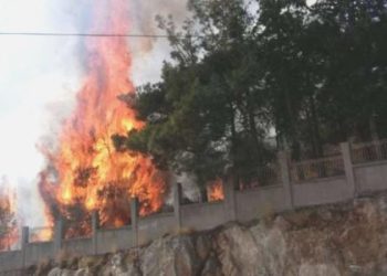 Kırklareli’nde hastane bahçesinde yangın!