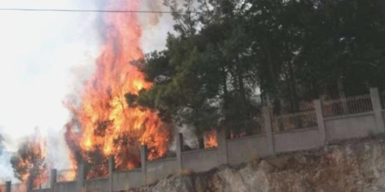 Kırklareli’nde hastane bahçesinde yangın!