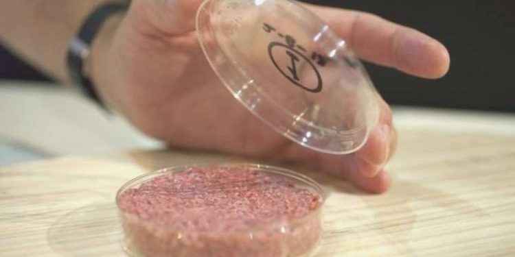 ‘Kültür eti’ fabrikası Çin’in Şanghay kentinde üretime başladı