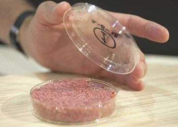 ‘Kültür eti’ fabrikası Çin’in Şanghay kentinde üretime başladı